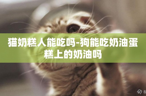 猫奶糕人能吃吗-狗能吃奶油蛋糕上的奶油吗